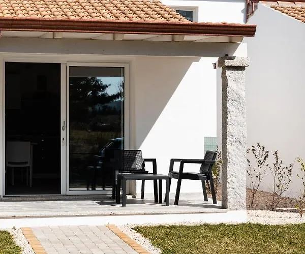 6 * لا كاليتا